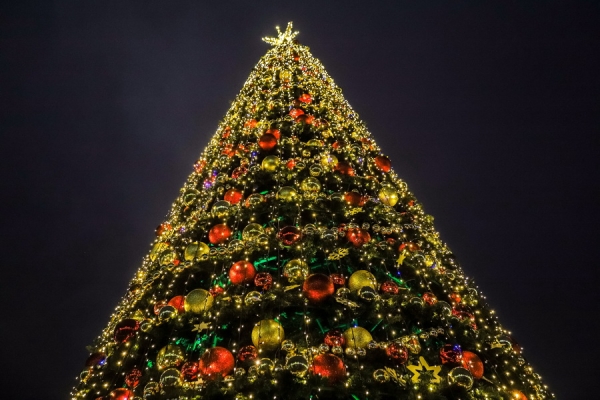 Более 3 700 гирлянд и свыше 30 елок. В Минске зажглась праздничная иллюминация