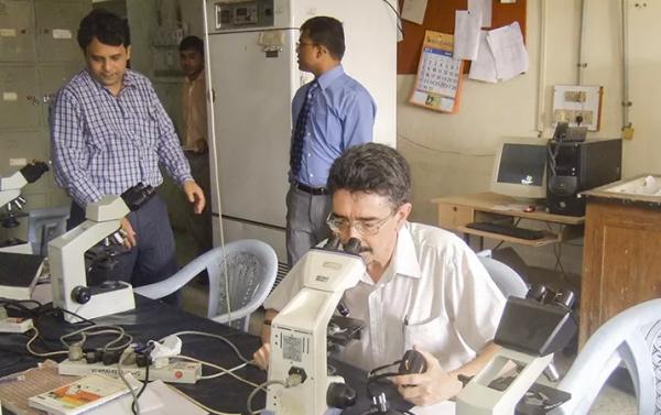 Плесневые грибы и опасность инвазивных микозов		 
			Плесневые грибы и опасность инвазивных микозов