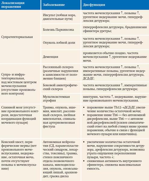 Нейрогенный мочевой пузырь		 
			Нейрогенный мочевой пузырь