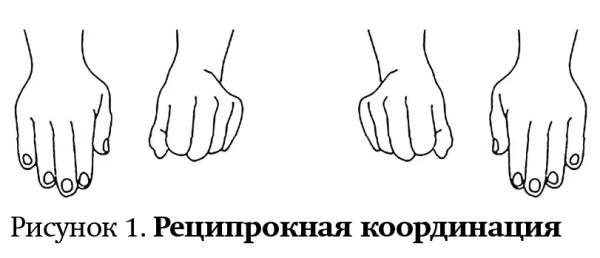 Оценка развития высшей нервной деятельности ребенка на амбулаторном этапе
Оценка развития высшей нервной деятельности ребенка на амбулаторном этапе