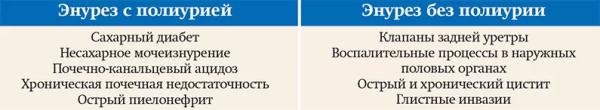 Нейрогенный мочевой пузырь		 
			Нейрогенный мочевой пузырь