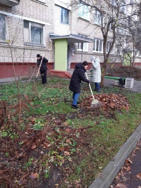 На придомовых территориях Заводского района за время субботников убрали 5,4 тыс. куб. м листвы    