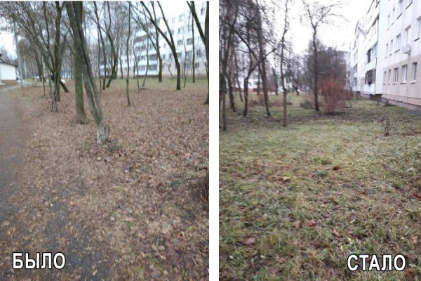 ПРИСТУПИТЬ К ИСПОЛНЕНИЮ. Какие заявки поступают на 115.бел от жителей Ленинского района, и что уже сделано ПРИСТУПИТЬ К ИСПОЛНЕНИЮ. Какие заявки поступают на 115.бел от жителей Ленинского района, и что уже сделано