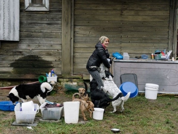 «Это было очень по-человечески». Зооцентры «Доктор Хвостов» и «ГлаМуррр» подвели итоги благотворительной акции в помощь бездомным животным «Это было очень по-человечески». Зооцентры «Доктор Хвостов» и «ГлаМуррр» подвели итоги благотворительной акции в помощь бездомным животным