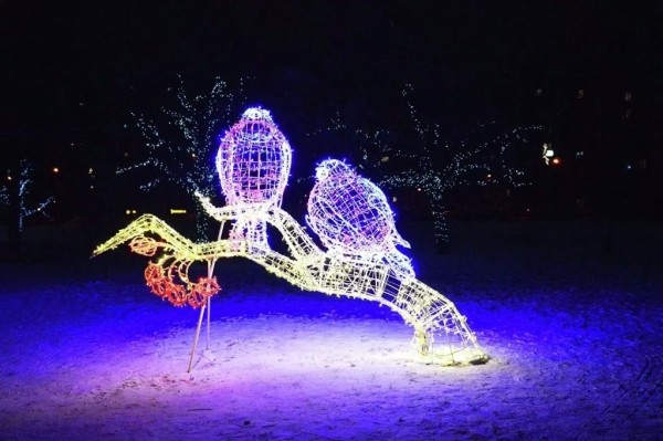 Новогодний Брест в фотографиях: как выглядит город перед праздниками