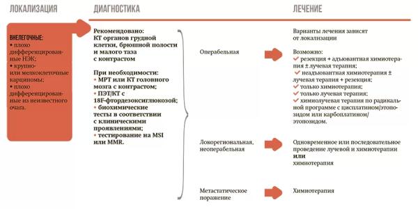 
			Современные подходы к диагностике и лечению нейроэндокринных новообразований		