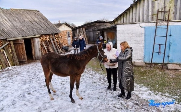 В Брестской области девушке подарили лошадь