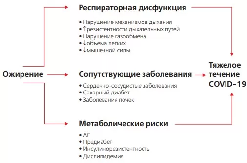 Эндокринные и метаболические риски при COVID-19. Часть 1. Ожирение		 
			Эндокринные и метаболические риски при COVID-19. Часть 1. Ожирение