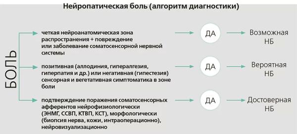 Нейропатическая боль: трудный пациент. Часть 1		 
			Нейропатическая боль: трудный пациент. Часть 1