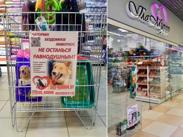 «Это было очень по-человечески». Зооцентры «Доктор Хвостов» и «ГлаМуррр» подвели итоги благотворительной акции в помощь бездомным животным «Это было очень по-человечески». Зооцентры «Доктор Хвостов» и «ГлаМуррр» подвели итоги благотворительной акции в помощь бездомным животным