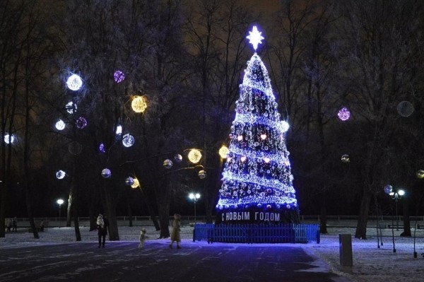 Новогодний Брест в фотографиях: как выглядит город перед праздниками