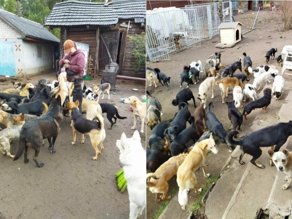 «Это было очень по-человечески». Зооцентры «Доктор Хвостов» и «ГлаМуррр» подвели итоги благотворительной акции в помощь бездомным животным «Это было очень по-человечески». Зооцентры «Доктор Хвостов» и «ГлаМуррр» подвели итоги благотворительной акции в помощь бездомным животным
