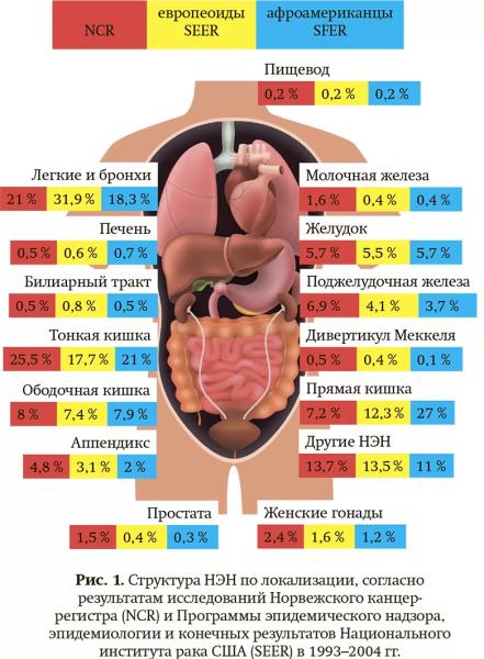 
			Современные подходы к диагностике и лечению нейроэндокринных новообразований		
