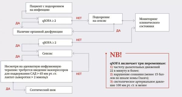 Сепсис в педиатрической практике		 
			Сепсис в педиатрической практике