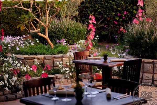 Тараканы, сырая картошка, суп без ложки. Брестчанин об отдыхе в Египте