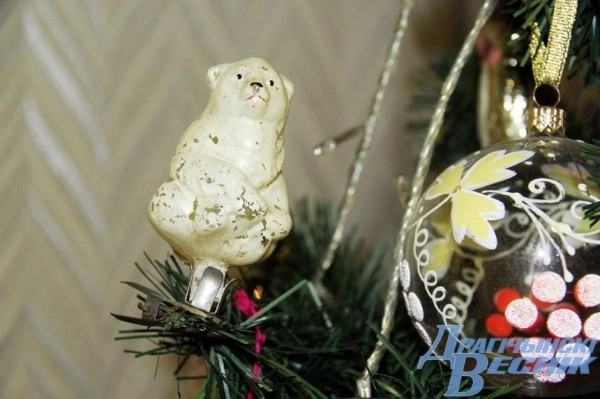 Семья из Антополя продолжает династию коллекционеров (Брестская область) Семья из Антополя продолжает династию коллекционеров (Брестская область)