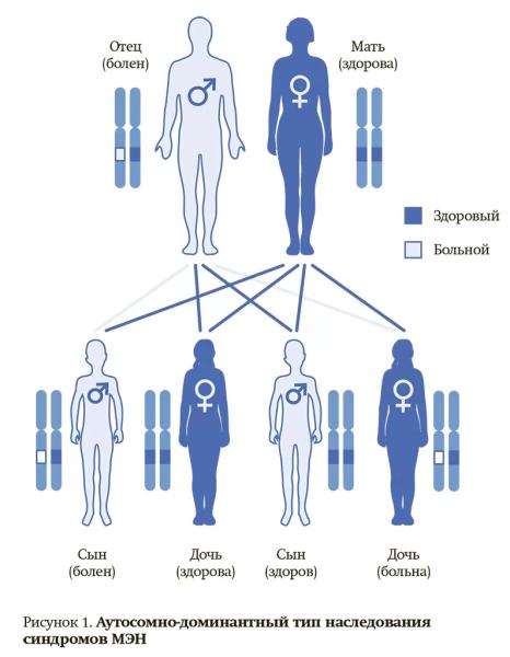 Онкоэндокринология: синдром множественной эндокринной неоплазии 2А типа		 
			Онкоэндокринология: синдром множественной эндокринной неоплазии 2А типа