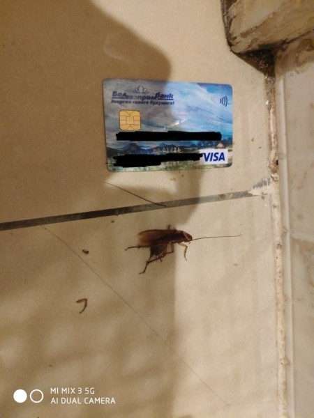 Тараканы, сырая картошка, суп без ложки. Брестчанин об отдыхе в Египте