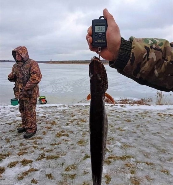 Зимняя рыбалка прошла в Беловежской пуще. Кто стал чемпионом? Зимняя рыбалка прошла в Беловежской пуще. Кто стал чемпионом?