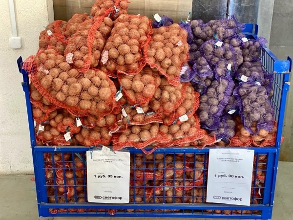 «Светофор» на Приграничной пополнился новыми сезонными товарами и приглашает всех за покупками