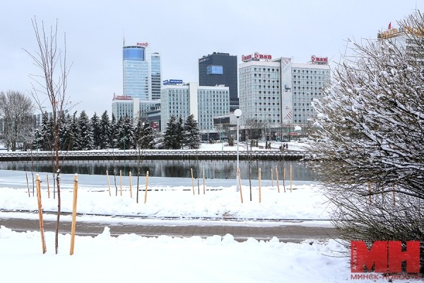 Минтруда разъяснило особенности уплаты страховых взносов для ИП, нотариусов и адвокатов