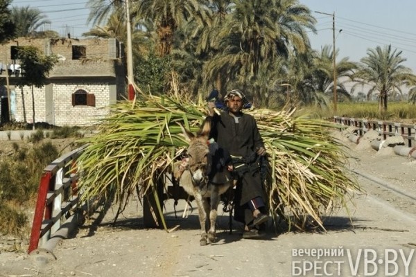 В море – только в маске. Честно про Египет в январе-2022. Рассказ жителя Бреста В море – только в маске. Честно про Египет в январе-2022. Рассказ жителя Бреста