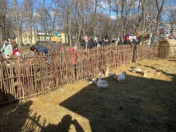 В Бресте на трёх городских площадках проходят традиционные масленичные гуляния