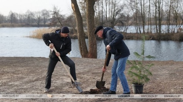 Экоакция по благоустройству Бреста Экоакция по благоустройству Бреста