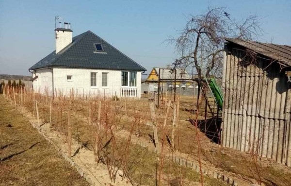 Из Бреста на усадьбу прадеда в Голенчицах приезжают работать и отдохнуть Из Бреста на усадьбу прадеда в Голенчицах приезжают работать и отдохнуть