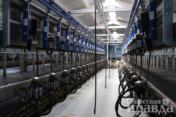 В Брестской области в Колодеевичах торжественно открыли новую молочно-товарную ферму