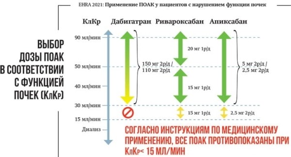 Трудный больной с фибрилляцией предсердий: клинический опыт или выбор стратегии согласно новым Европейским рекомендациям?			     
        Трудный больной с фибрилляцией предсердий: клинический опыт или выбор стратегии согласно новым Европейским рекомендациям?