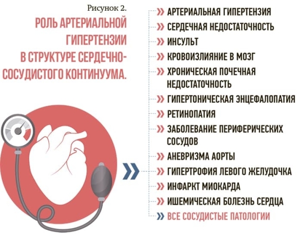 Старение и хронические мультифакториальные болезни +аудио			
        
         
        Старение и хронические мультифакториальные болезни +аудио