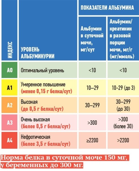 Хроническая болезнь почек: особенности диагностики + аудио			
        
         
        Хроническая болезнь почек: особенности диагностики + аудио