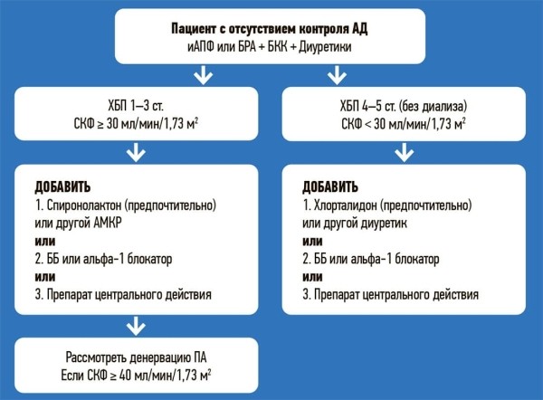 
        Важные вопросы. Ведение пациента с артериальной гипертензией + аудио			
        
        