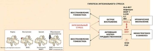 
        Псориатический артрит: диагностика и тактика ведения пациента			    