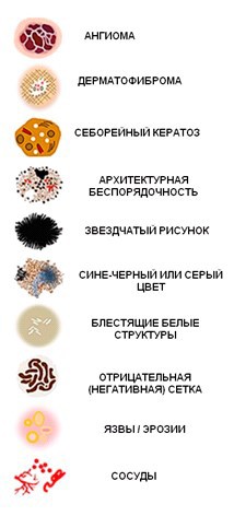 Онкодерматология: алгоритмы диагностики для врачей первичного звена
Онкодерматология: алгоритмы диагностики для врачей первичного звена