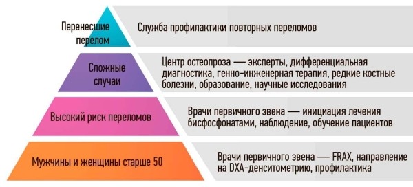 Остеопороз: болезнь «хрупкого» возраста			     
        Остеопороз: болезнь «хрупкого» возраста