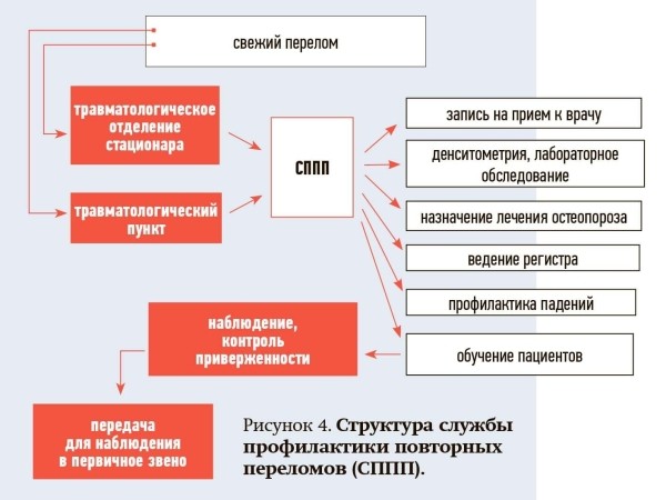 Остеопороз: болезнь «хрупкого» возраста			     
        Остеопороз: болезнь «хрупкого» возраста