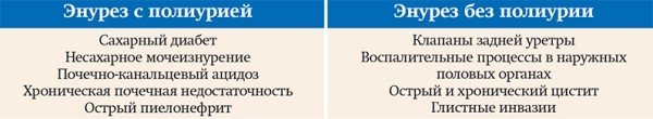 Нейрогенный мочевой пузырь                     
        Нейрогенный мочевой пузырь