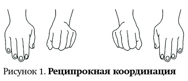 
        Оценка развития высшей нервной деятельности ребенка на амбулаторном этапе                    
