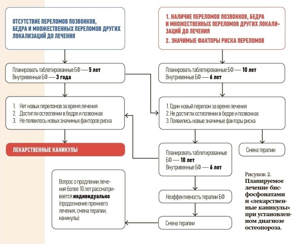 Остеопороз в клинической практике                     
        Остеопороз в клинической практике