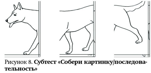 
        Оценка развития высшей нервной деятельности ребенка на амбулаторном этапе                    