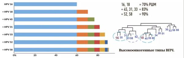 ВПЧ: о вакцинопрофилактике без купюр                     
        ВПЧ: о вакцинопрофилактике без купюр