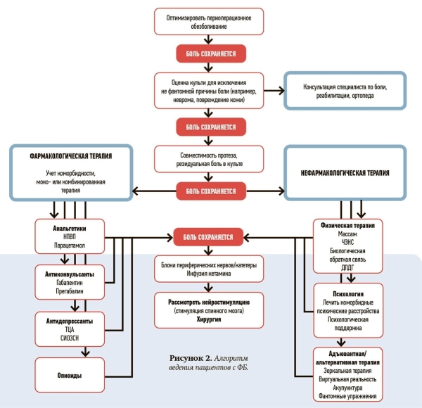 
        Фантомная боль. Междисциплинарный подход как ключ к успешной терапии. Часть 3 + аудио			
        
        