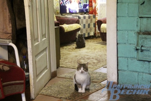 Пожилой сельчанке из Дрогичинского района нужна помощь волонтеров Пожилой сельчанке из Дрогичинского района нужна помощь волонтеров