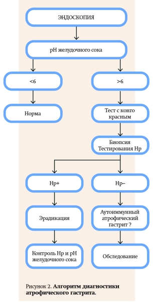 
        Природа хронической гастродуоденальной боли. Часть 1			    