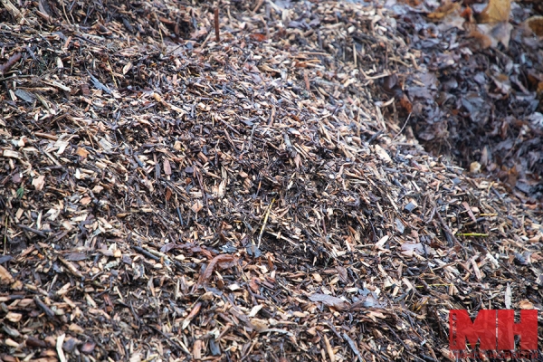 До 28 тыс. кубометров удобрения в год. Как работает новая станция компостирования растительных отходов