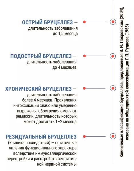 
        Бруцеллез: две стороны медали, одна ответственность                    