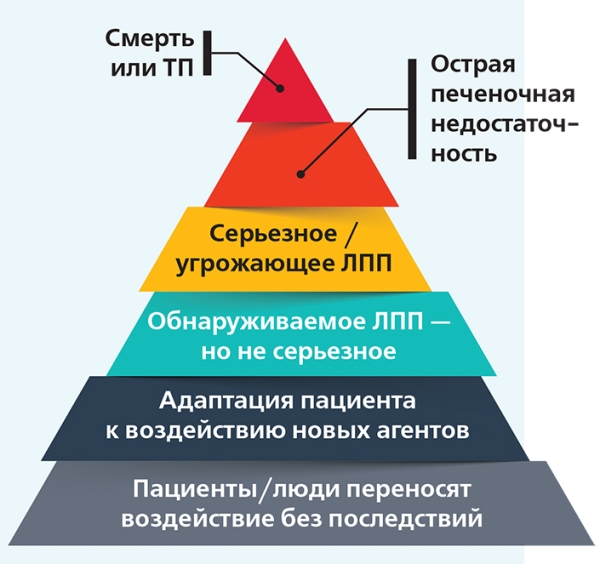 
        Лекарственные поражения печени			    