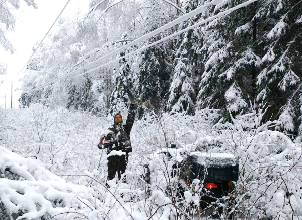 «Борисовские электросети»: надежное и безопасное энергоснабжение в режиме 24/7* «Борисовские электросети»: надежное и безопасное энергоснабжение в режиме 24/7*